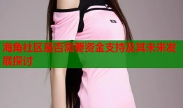 海角社区是否需要资金支持及其未来发展探讨