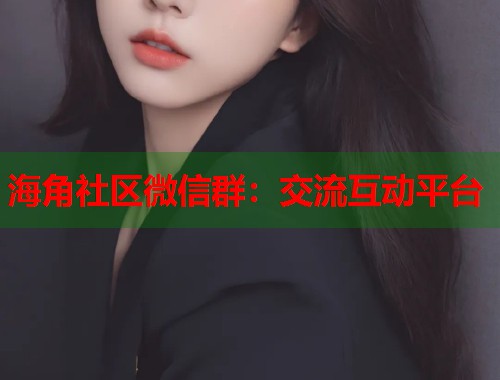 海角社区微信群：交流互动平台