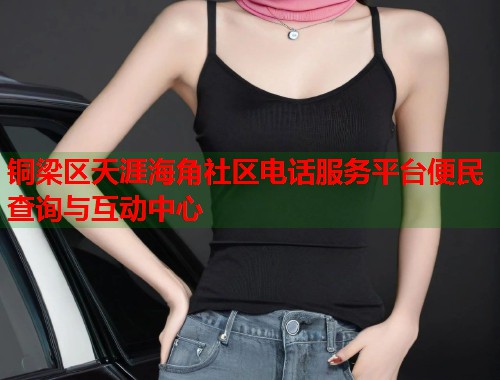 铜梁区天涯海角社区电话服务平台便民查询与互动中心