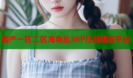 国产一区二区海角乱36P在线播放平台
