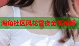 海角社区风花雪夜全部视频