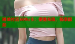 琳琅社区600u卡：便捷充值，畅享服务